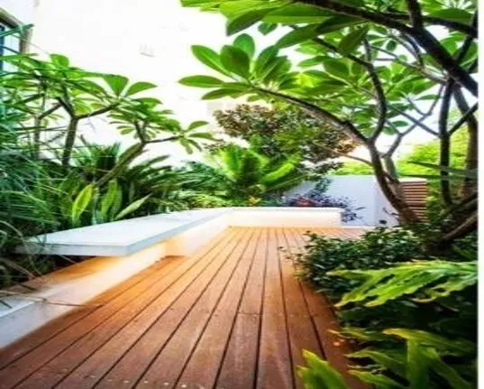 Eco friendly house design
