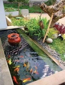 Water n landscape design