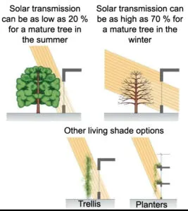 Landscape architecture design