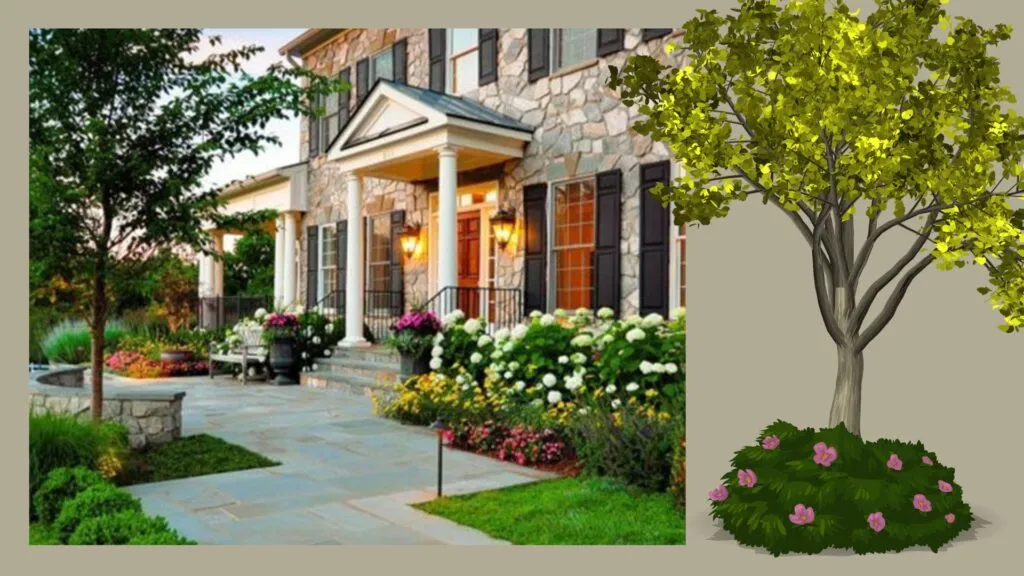 landscape design